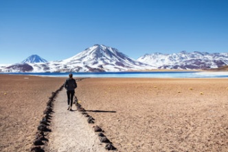 Atacama: des lagunes dans le désert