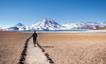 Atacama: des lagunes dans le désert